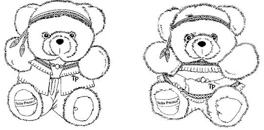 Teddy Precious Indian girl and boy stuffed bear