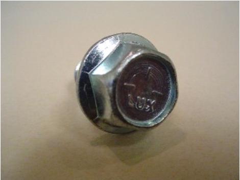 Lus Bolt