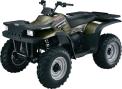 Recalled Magnum ATP 330 ATV