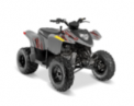 Recalled Model Year 2017-2021 Phoenix 200 ATV