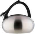 Recalled Stainless Steel Tea Kettle