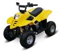 Recalled Youth Model ATV