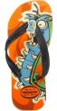 Recalled Havaiana Sandals