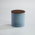Recalled Good Matters three-wick 21 oz. candle – Peace
