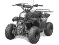 Recalled Rex110 Youth ATV – Spider Black