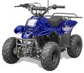 Recalled Rex110 Youth ATV – Spider Blue