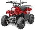 Recalled Rex110 Youth ATV – Spider Red