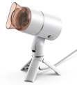 Violative Wish.com Hair Dryer- Hands-free Hair Dryer with Tripod Stand
