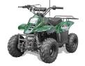 Recalled Rex110 Youth ATV – Green Camo