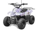 Recalled Rex110 Youth ATV – Purple Camo