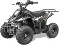 Recalled Rex110 Youth ATV – Black