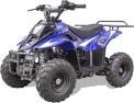 Recalled Rex110 Youth ATV – Blue