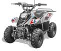 Recalled Rex110 Youth ATV – Silver