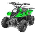 Recalled Rex110 Youth ATV – Green