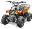 Recalled Rex110 Youth ATV – Orange