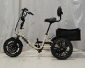Liberty Trike 16-Inch Electric Tricycle 
