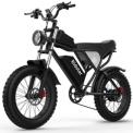 Ridstar Q20/Q20 Pro e-bike