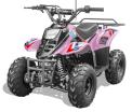 Recalled Rex110 Youth ATV – Pink 