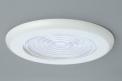 Recalled Light Fixture