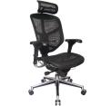 Recalled Mesh Chair with Headrest