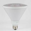 LED 14 watt PAR38 Wet Location Bulb
