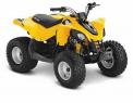 Recalled Can-Am DS 90 model