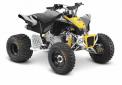 Recalled Can-Am DS 90X model