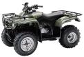 Recalled 2002 Honda TRX 250 TE/TM "Recon" ATV