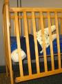 Recalled Crib and entrapment hazard