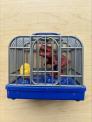 Recalled Dinosaur Toy Containing Electronic Gray and Blue Cage with a Red Dinosaur