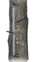 Recalled Climbing Stick