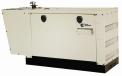 Recalled Stationary Natural Gas and Propane Fueled Generator