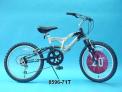 Recalled Dynacraft Vertical PK7 (model 8596-71T) Bicycle