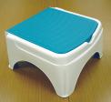 Recalled "2-In-1 Fold-Away Tub and Step Stool"