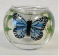 Recalled Gel Candle - Round Shape with Two Butterflies, Model #806-8 