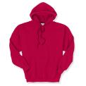 Recalled Gildan Sweatshirt with drawstrings