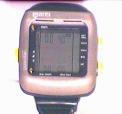 Recalled Guardian dive computer
