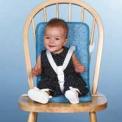 Recalled infant seat pad