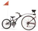Moongoose "Ally Cat" tandem bicycle with recalled accessories