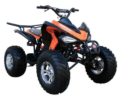 Recalled Maxtrade Coolster 3150-CXC ATV