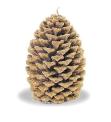 Recalled Vivre Royale Pine Cone Candle