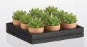 Recalled succulent shaped decorative candles