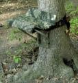 Recalled treeseat
