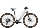 Trek FX+1S Midstep with recalled rear wheel bolts