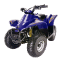 Recalled "Viper Jr" youth ATV