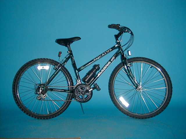 Picture of Recalled Mountain Bike