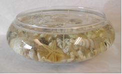 Picture of Large Oval Bowl with Sand & Shells, Model #109-XL