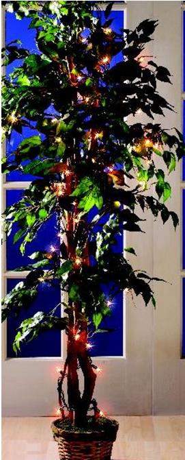 Picture of Recalled Lighted Ficus Tree
