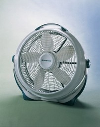 Picture of Recalled Fan